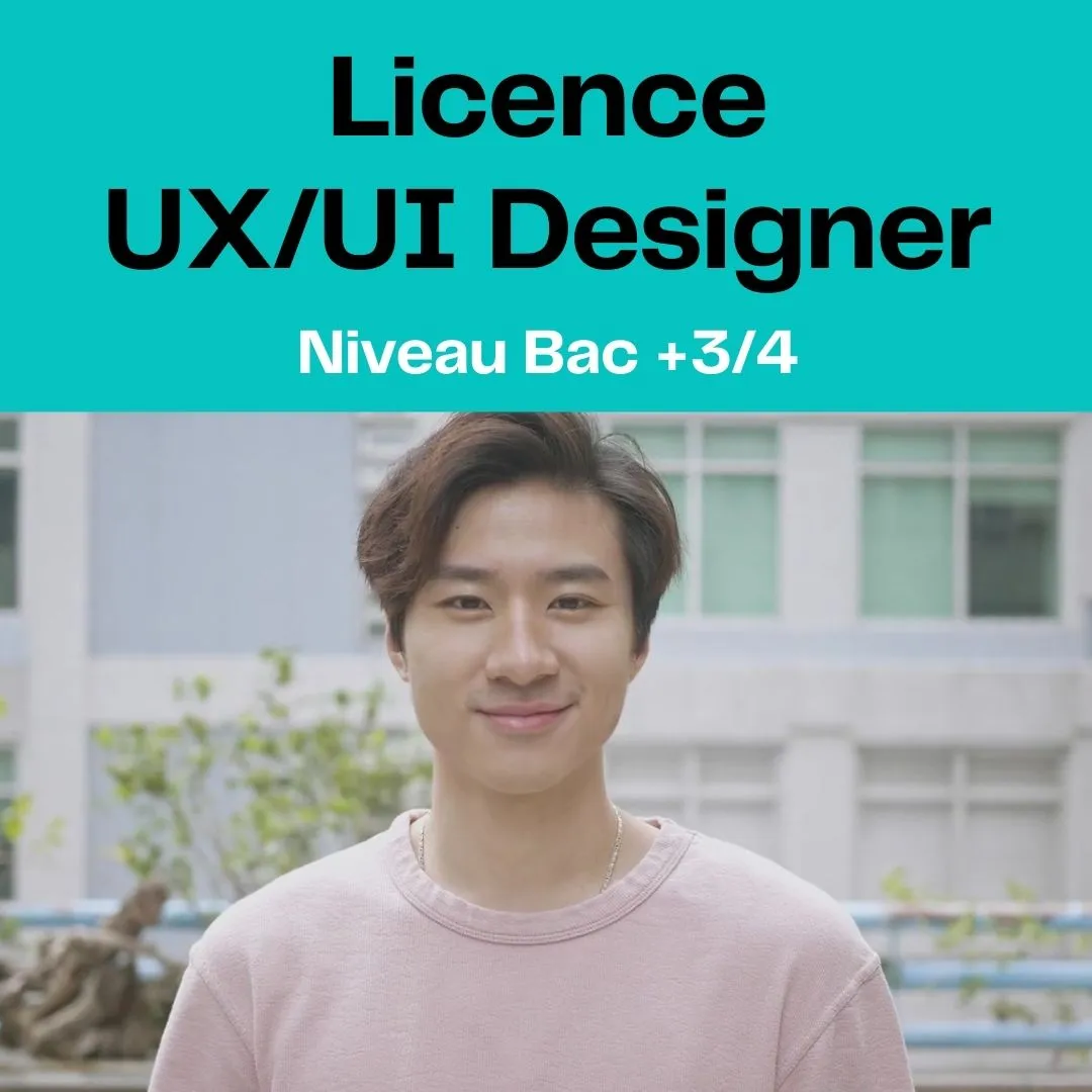 licence ux/ui